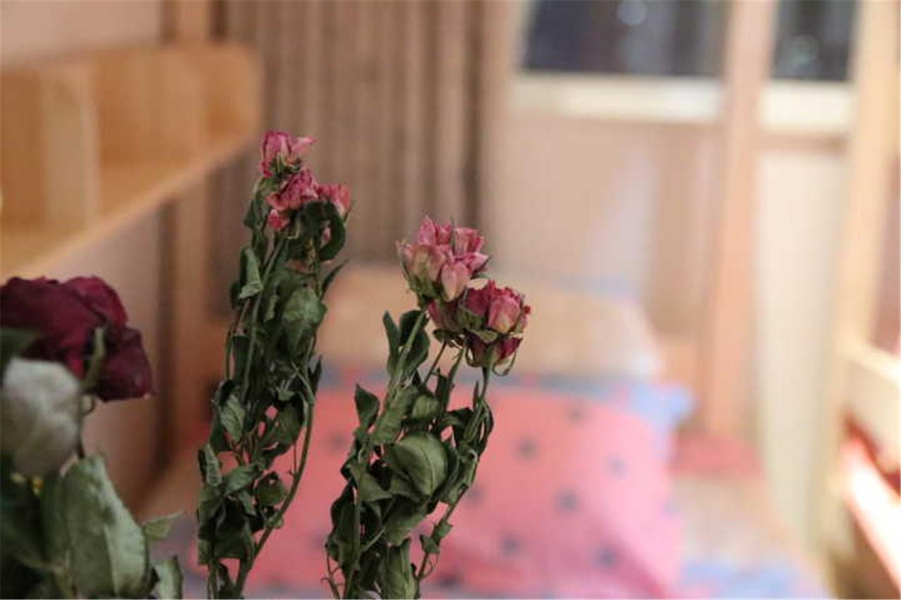 Yantai Music Theme Youth Hostel Екстер'єр фото